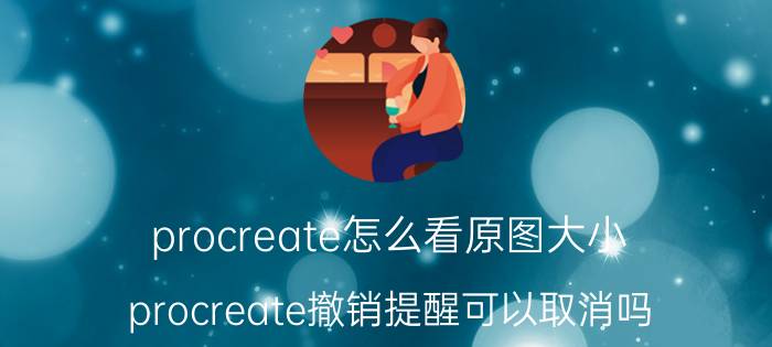 procreate怎么看原图大小 procreate撤销提醒可以取消吗？